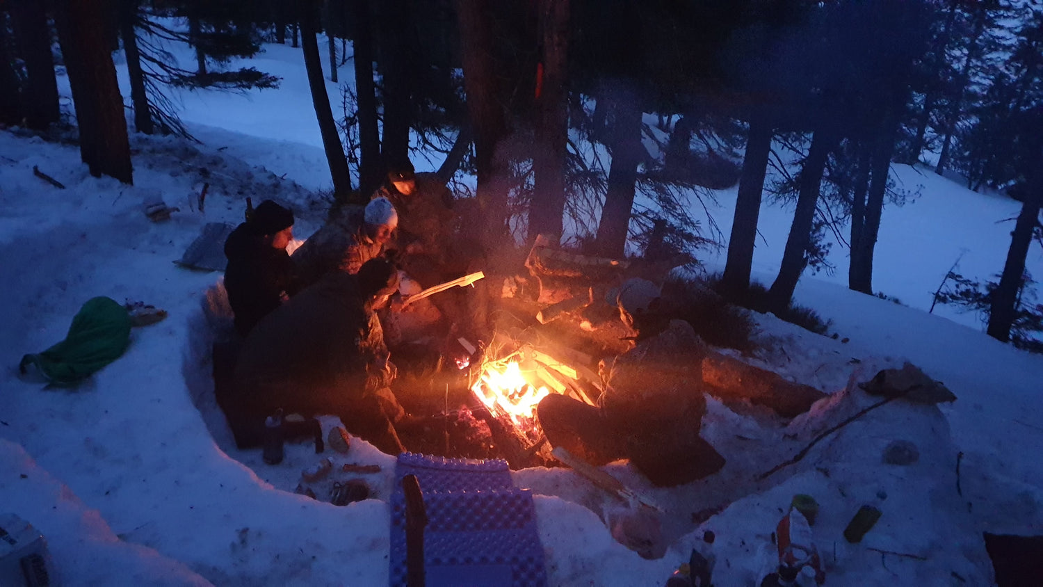 Survival