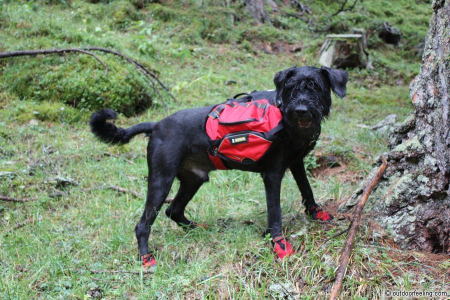 Ruffwear Hunderucksack Palisades Pack