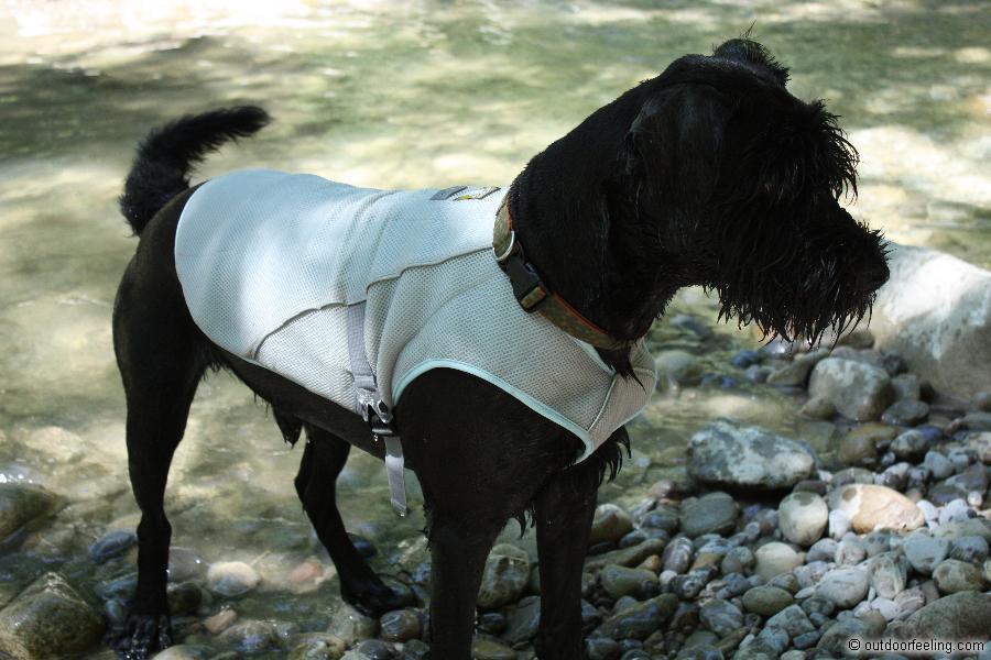 Ruffwear Swamp Cooler