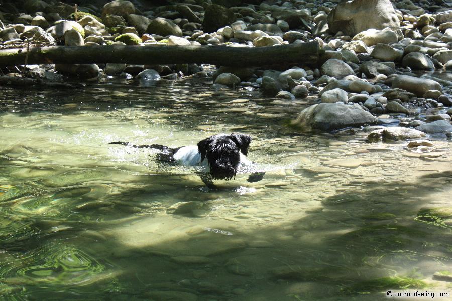 Ruffwear Swamp Cooler