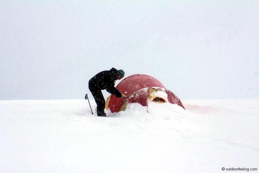 SwissPiranha Schnee-Sand Hering