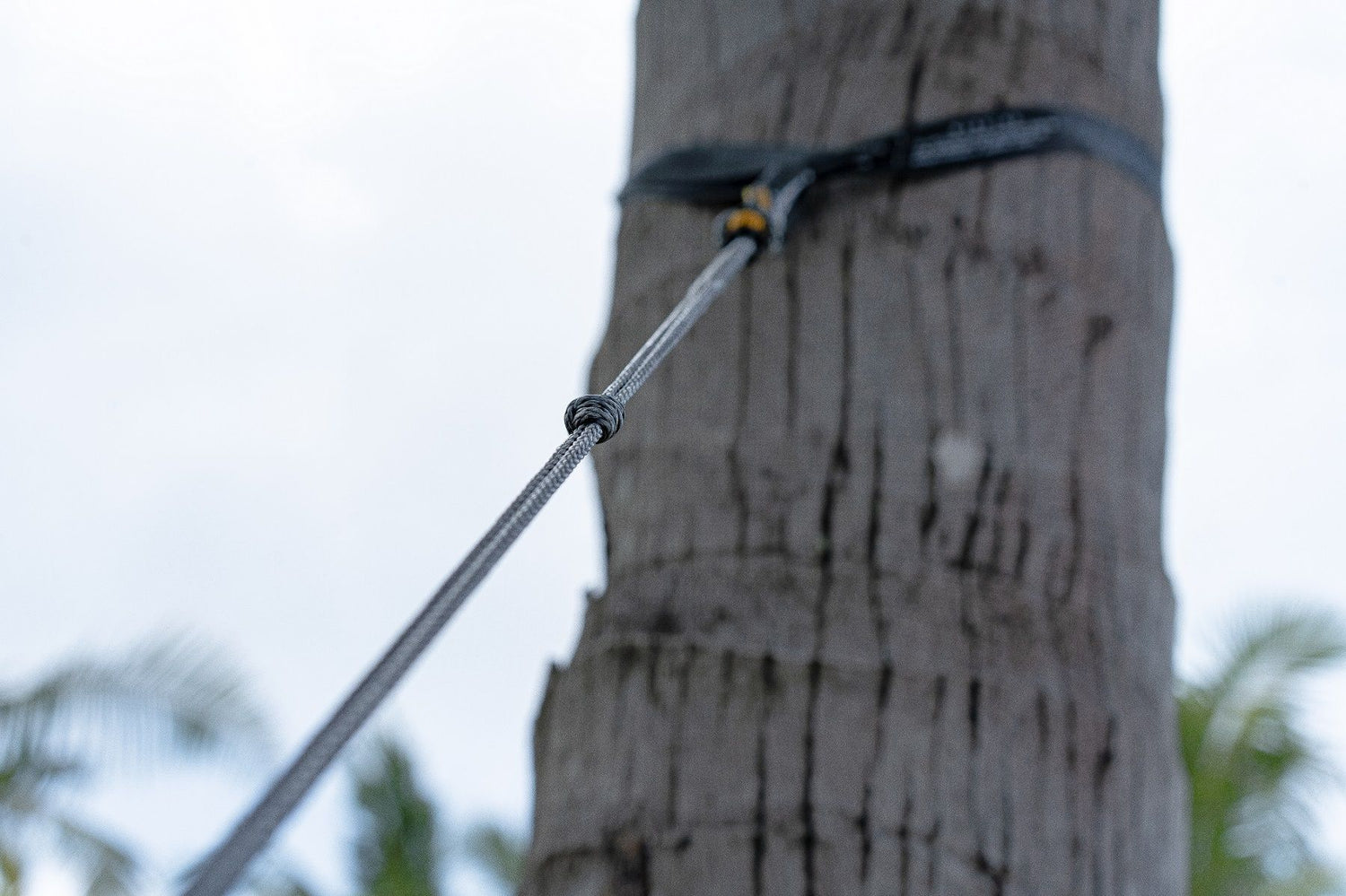 Ticket To The Moon LIGHTEST STRAPS