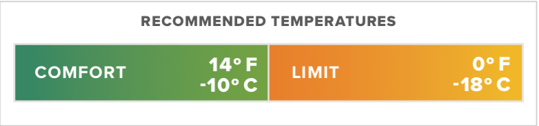 Thermarest Questar 0F/-18C Regular Balsam