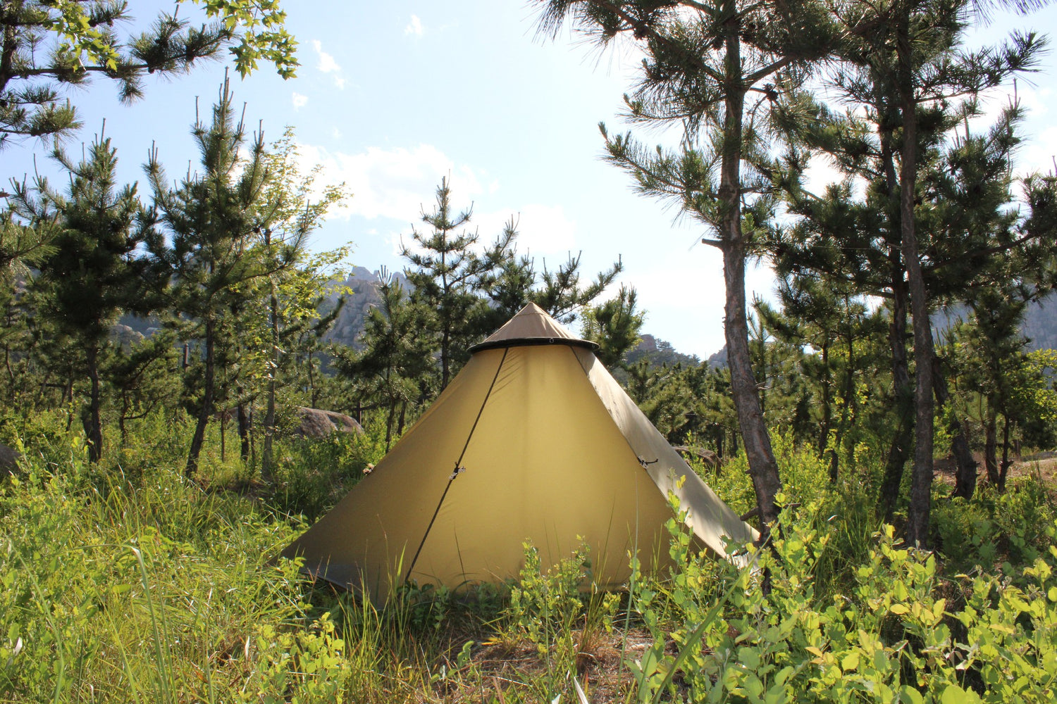 Wildnester Aegis 3-in-1 Zelt – Poncho, Sonnenhut und Ultraleichtzelt 930gr