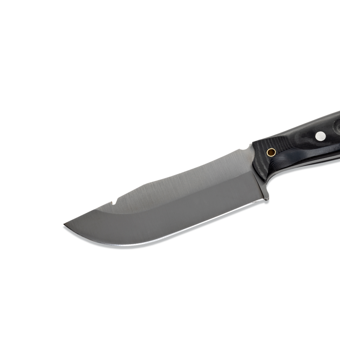 Wildsteer Kodiak