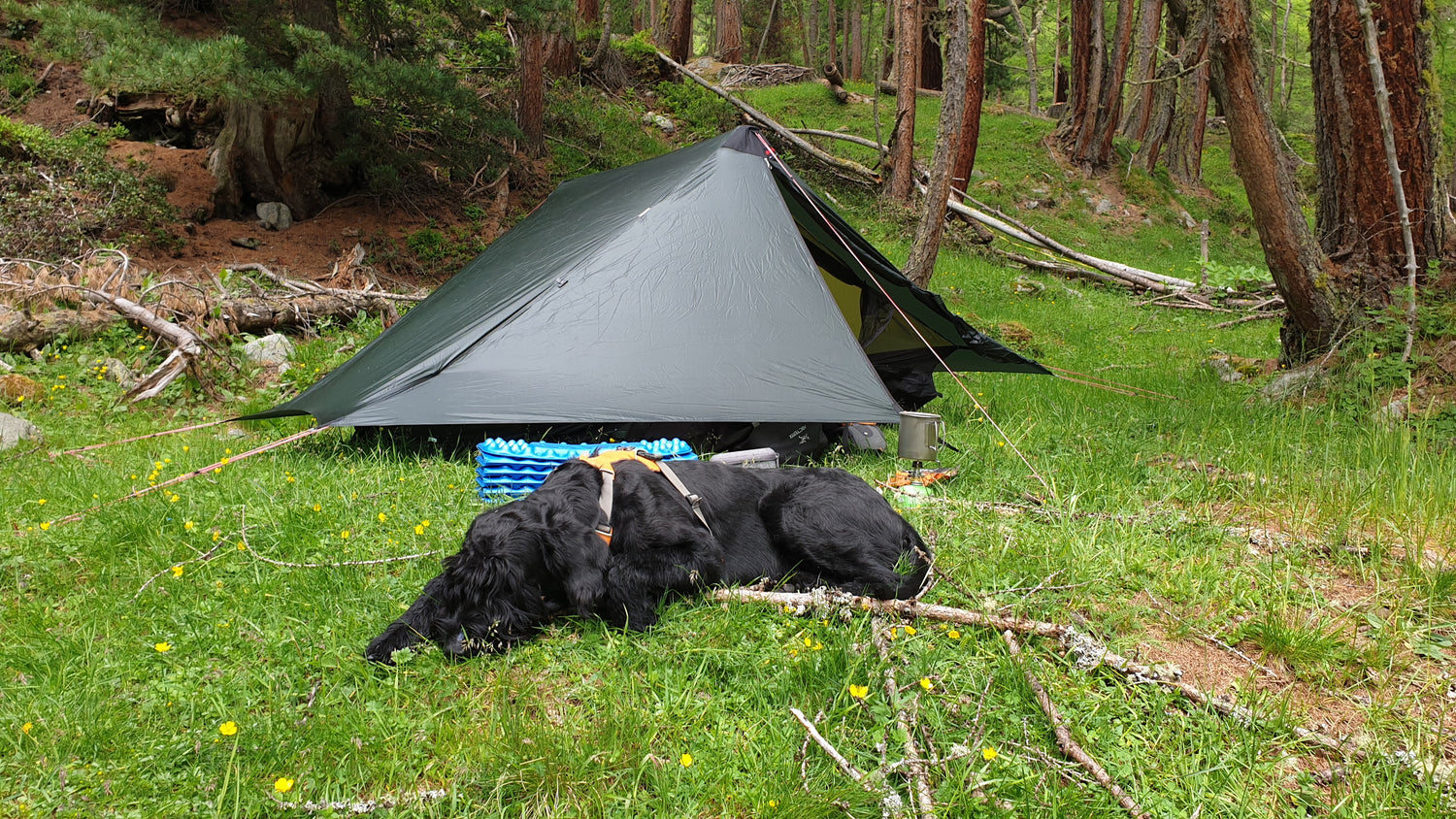 Hilleberg Anaris