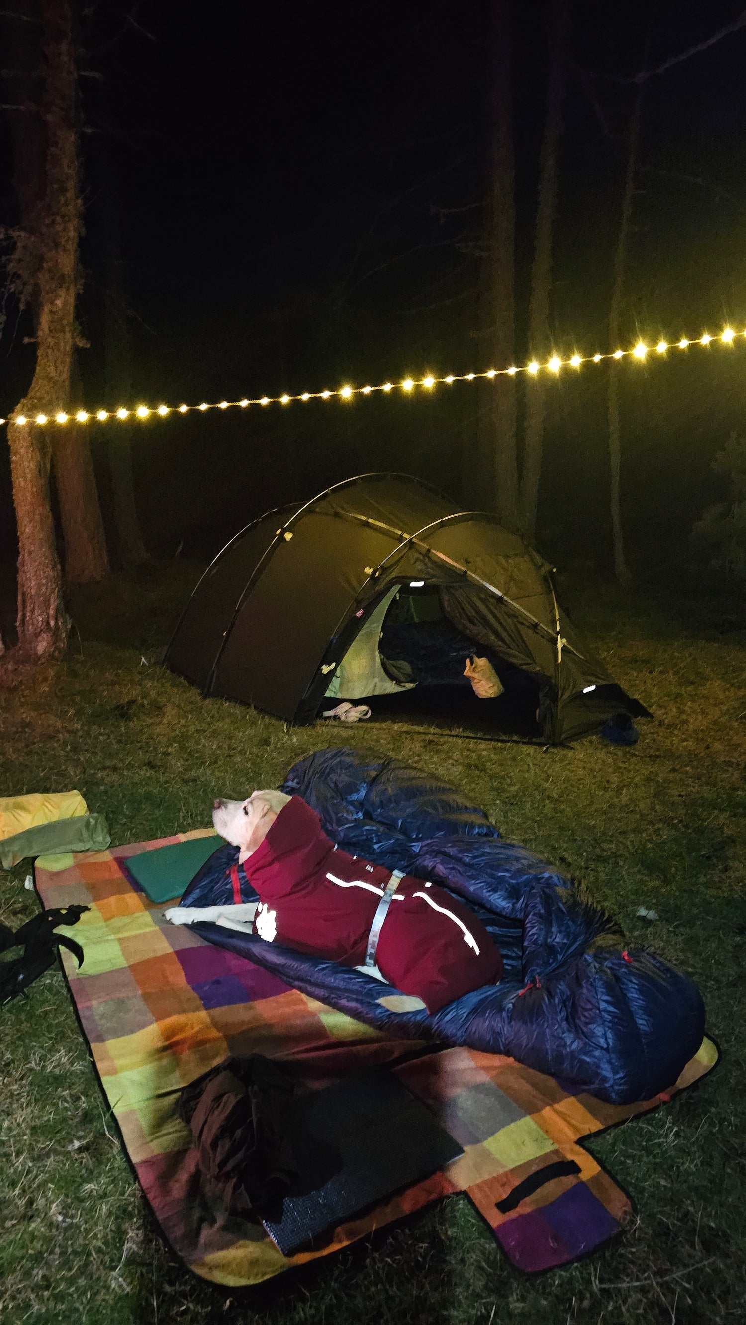 NORTENT Vern 1