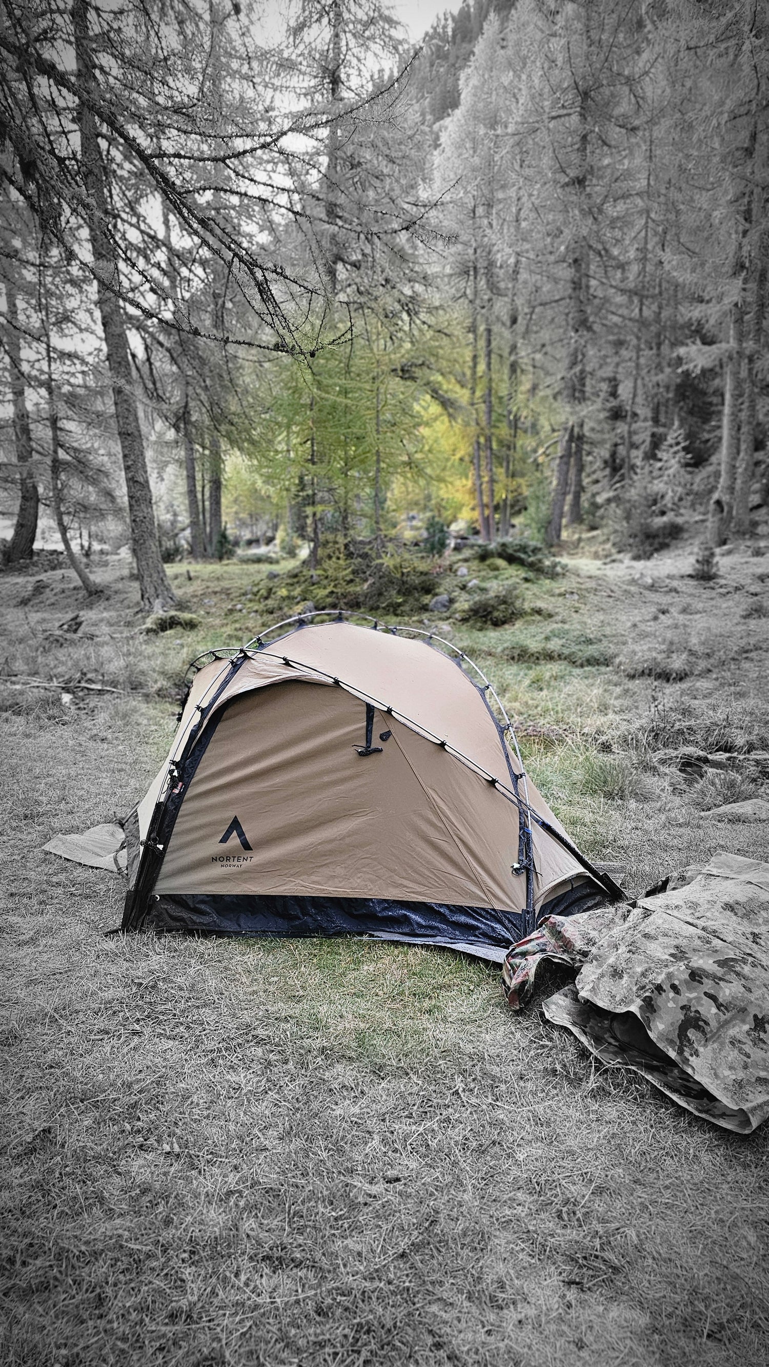 NORTENT Vern 1