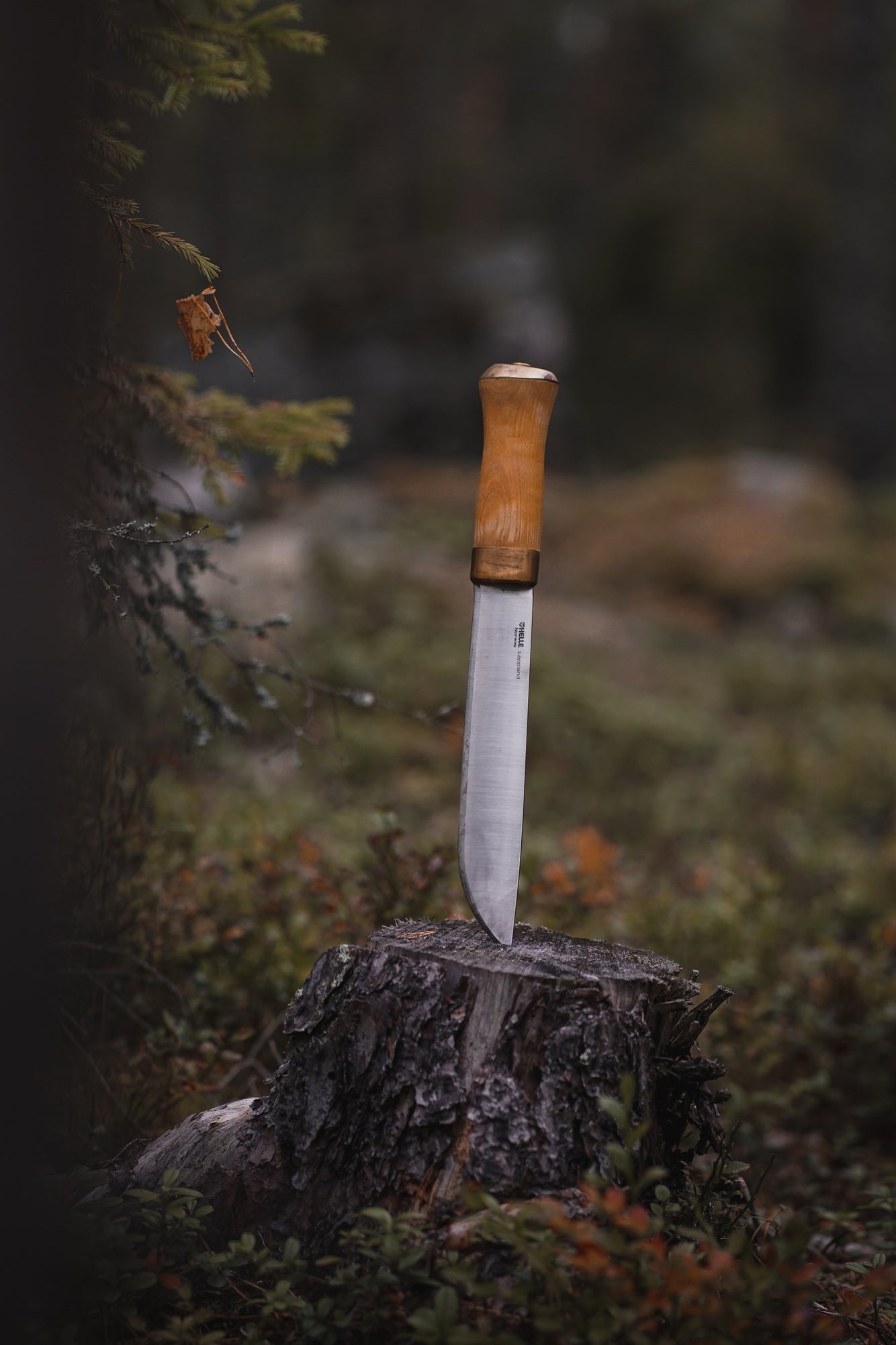 Helle Lappland