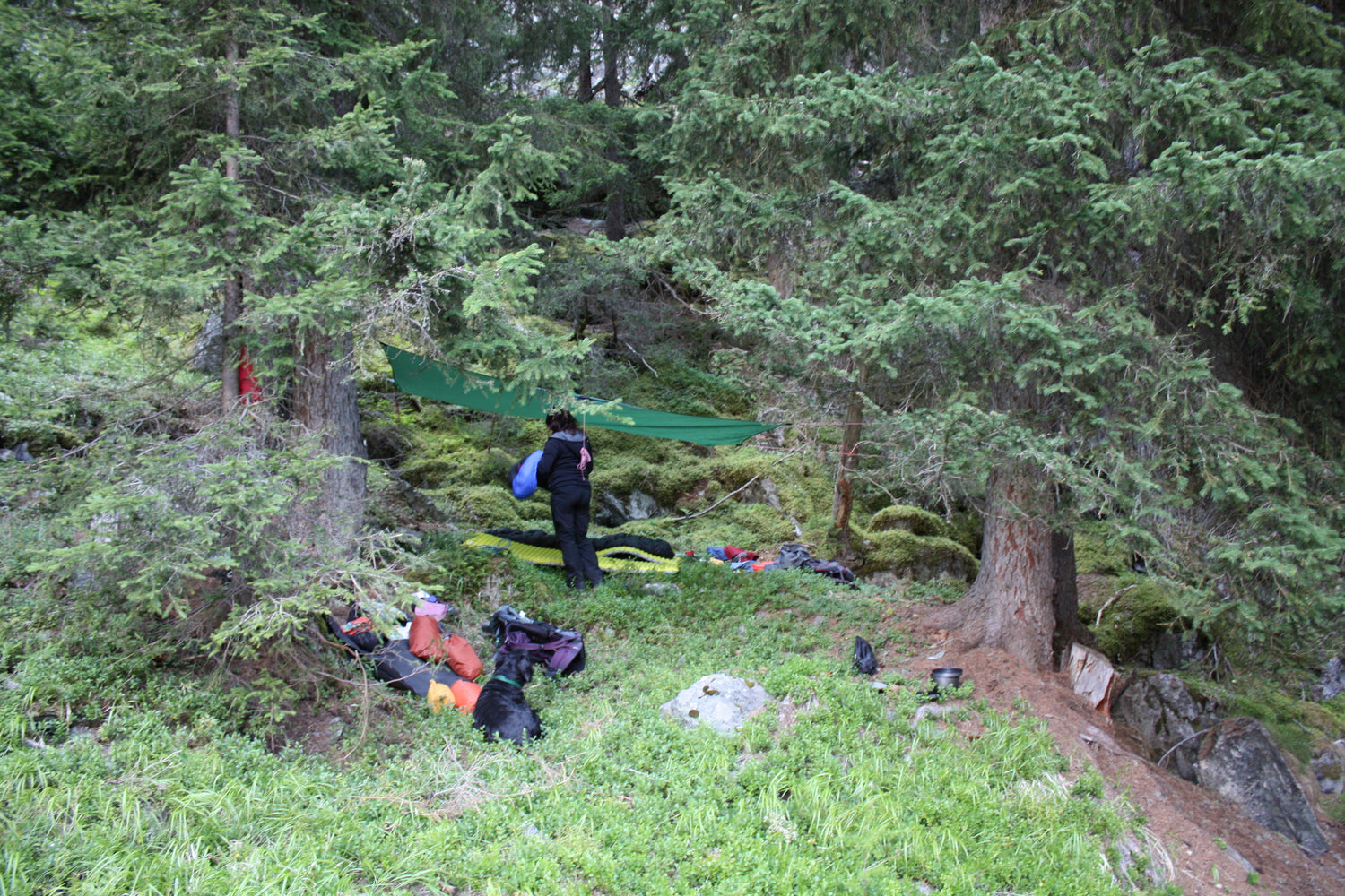 Hilleberg Tarp 10XP