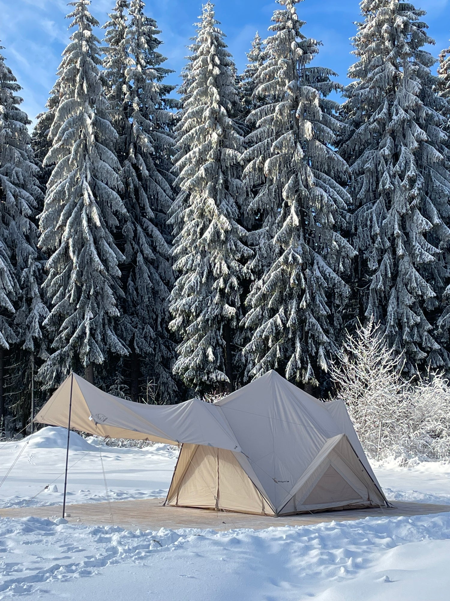 Nordisk Kari 8 Tarp