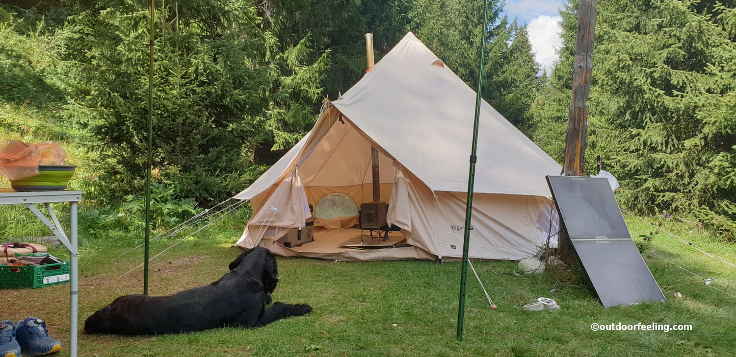 Nordisk Asgard 12.6