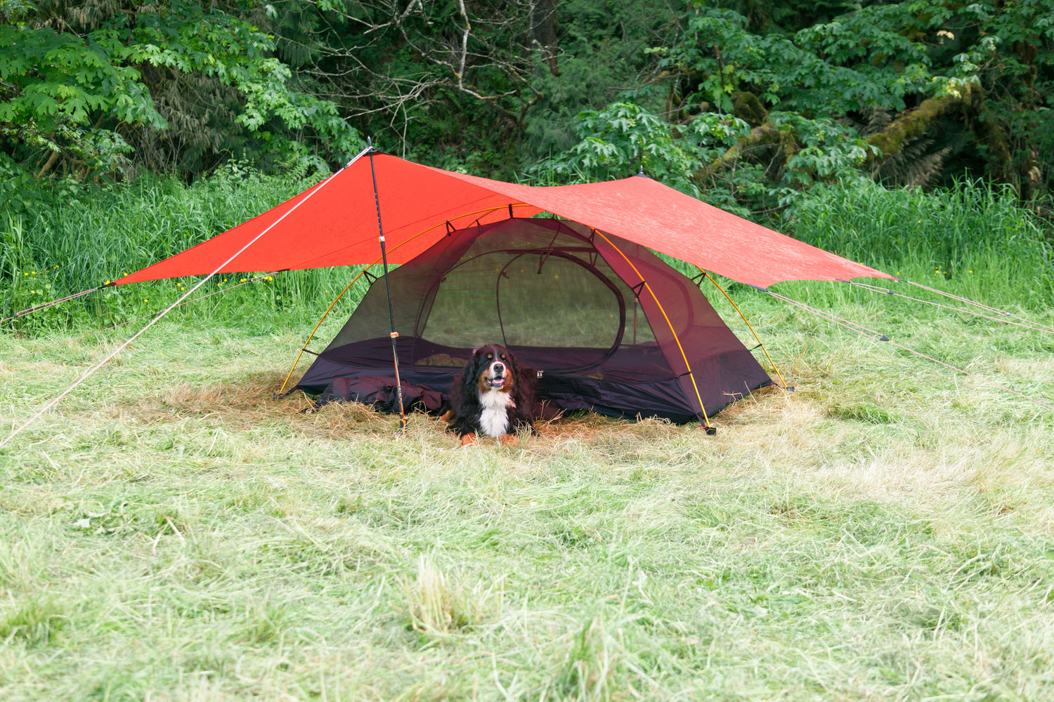 Hilleberg Rogen 2 Mesh Innenzelt