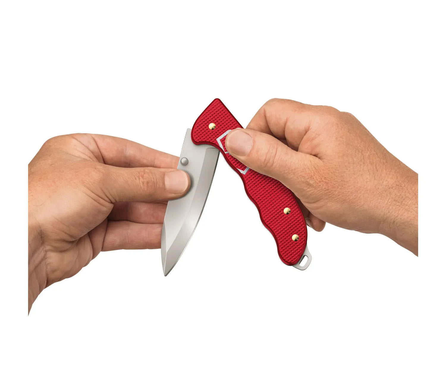 Victorinox Evoke BS Alox