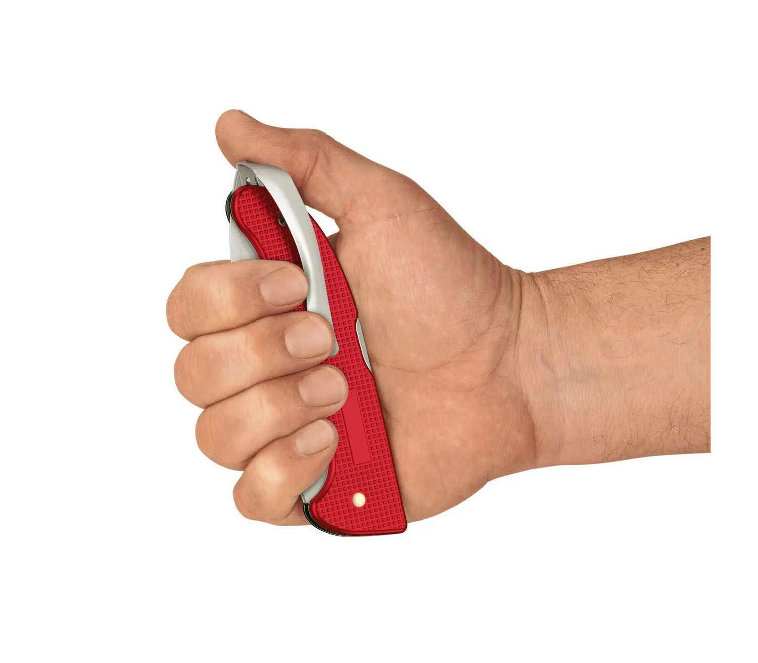 Victorinox Evoke BS Alox