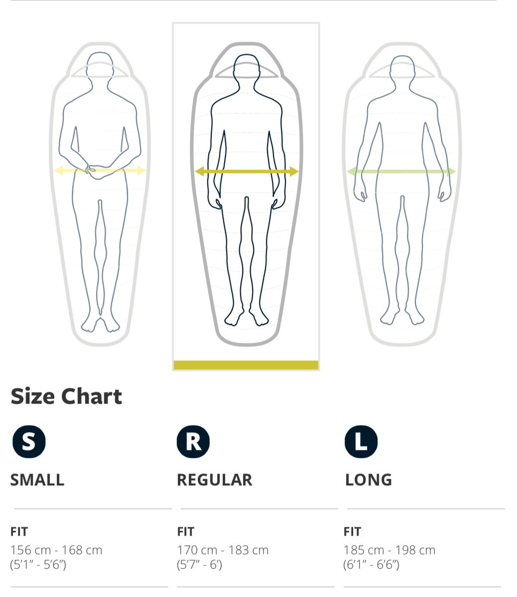 Thermarest Questar 20F/-6C Regular Balsam